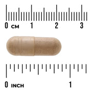 Swanson Arjuna Bark Standardized 500mg 60 Veggie Capsules size comparison with measurement scale