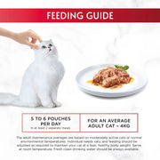 Purina Gourmet Mon Petit Intense Turkey Chicken Duck adult cat food 6 x 50g feeding guide