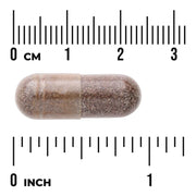 Swanson Shatavari Root Extract 500mg 120 Capsules herbal supplement capsule bottle 60 capsule size