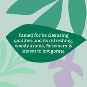 Faith In Nature Natural Rosemary Vegan Bar Soap 6 × 100g cardboard packaging ingredients