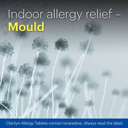 Clarityn Allergy Loratadine 10mg Tablets 10 Tablets outdoor allergy relief-mould